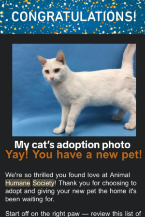 Cumshot adoption.png