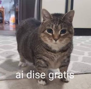 Ethel Ai dice gratis.jpg