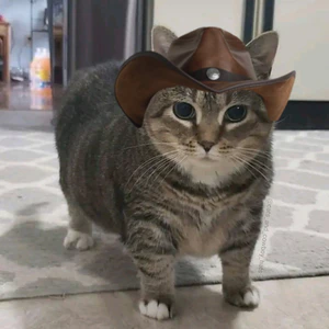 Ethel cowboy.jpg