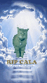A tribute gif made for Cala, showing her singing her iconic song "I Go Meow" in heaven.