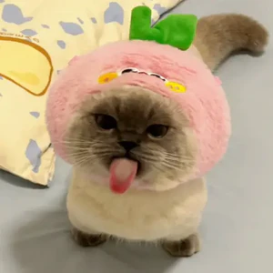 Xiaojie tongue.png